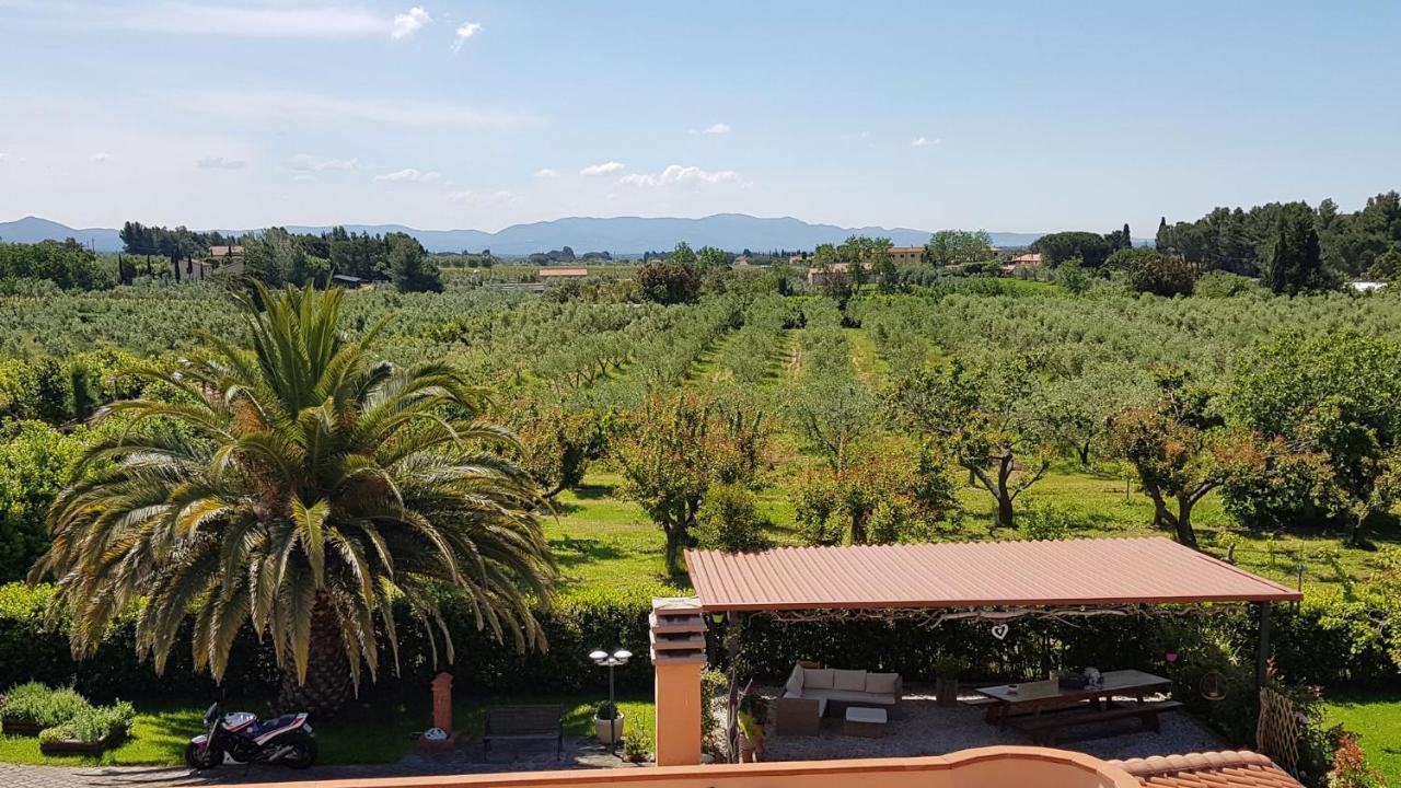 Villa Mandrioli Cecina  Exterior photo
